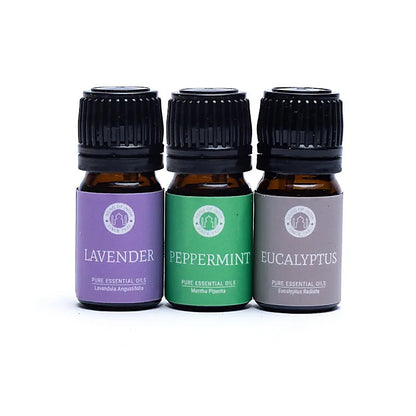 Essential Oil Set - Song of India