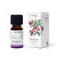 Aromafume Ätherische Öle