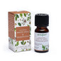 Ätherischen Öle – Aromafume Salbeivariationen