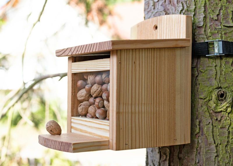Eichhörnchen-Futterstation aus europäischer Lärche – inklusive Nussspender/Futterbox