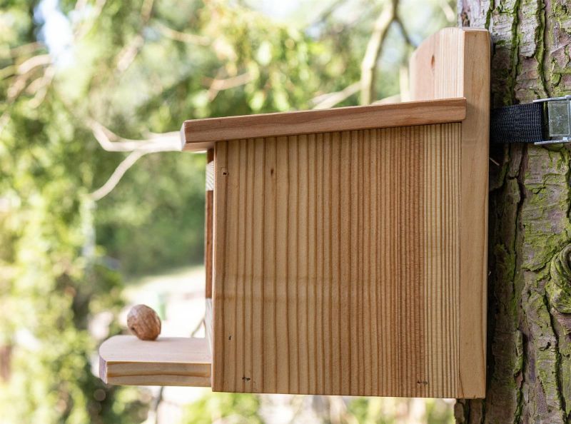 Eichhörnchen-Futterstation aus europäischer Lärche – inklusive Nussspender/Futterbox